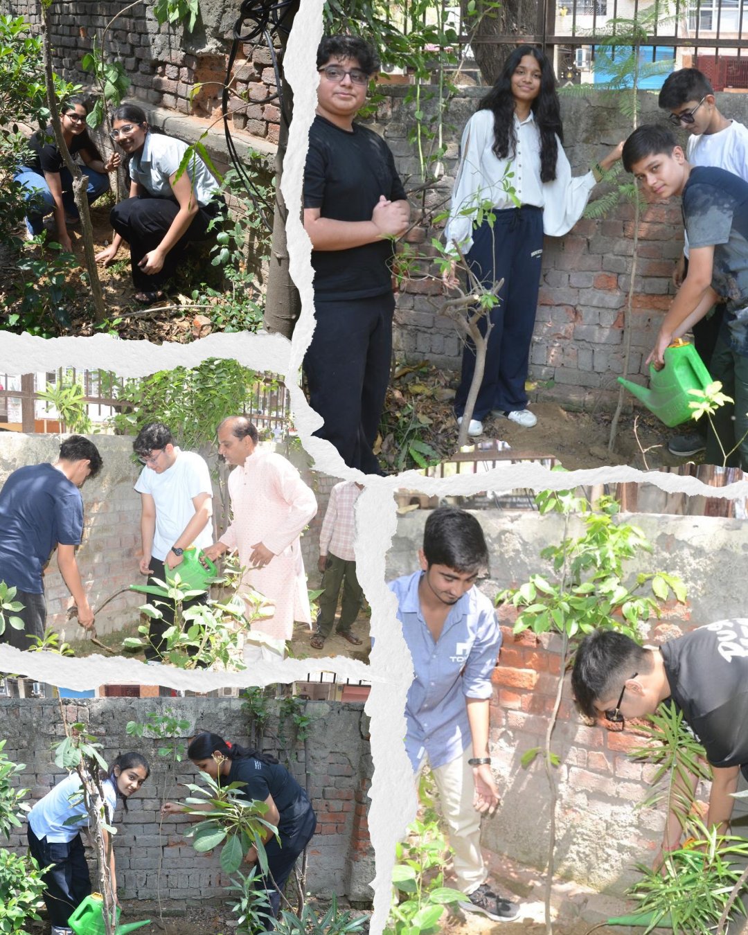 A collage of volunteers planting saplings along a brick wall during a community greening drive